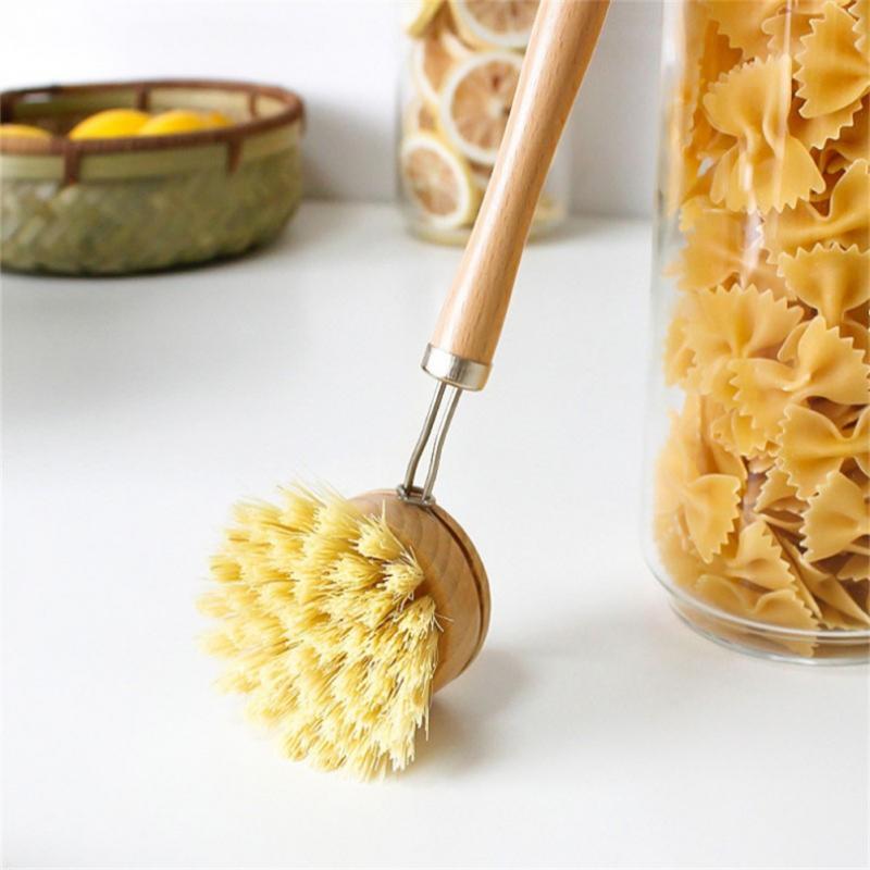 Brosse Biologique à Tête Remplaçable