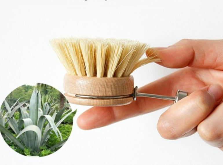 Brosse Biologique à Tête Remplaçable